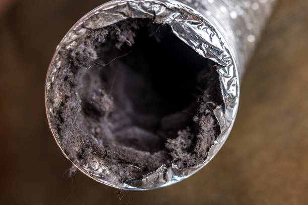 Best General Air Duct Cleaning  in Breinigsville, PA